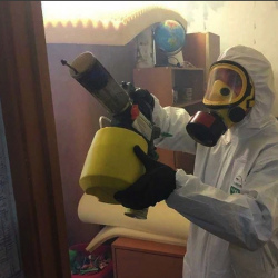 Уничтожение клопов в квартире. Елабуга